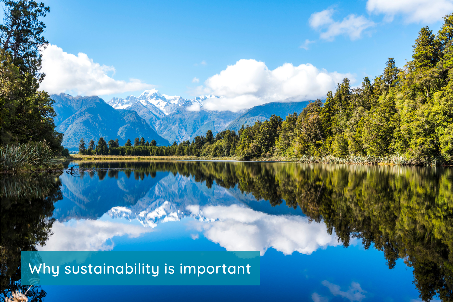 Why sustainability is important