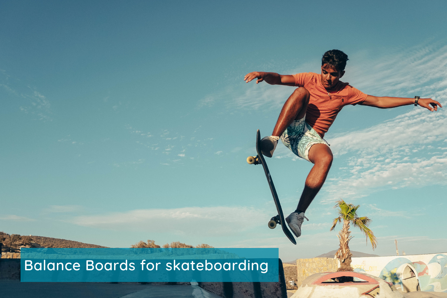 Balance Boards for skateboarding